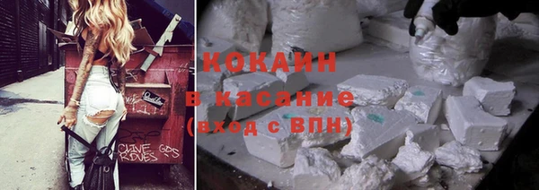 шишки Алзамай