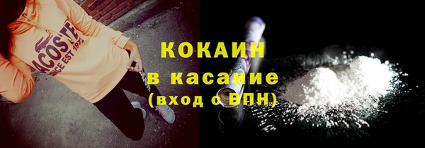 шишки Алзамай