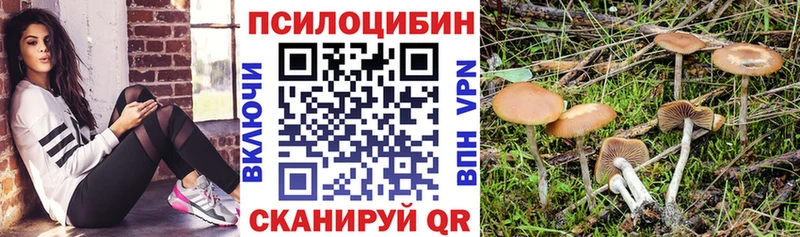маркетплейс официальный сайт  mega рабочий сайт  Славск  дарнет шоп  Галлюциногенные грибы Magic Shrooms 